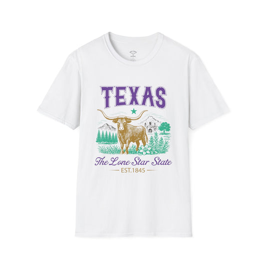 Texas(Lone Star State)